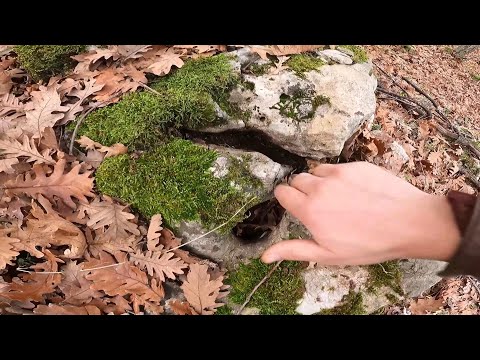 LANETLİ DEFİNEYİ CIKARMAYA CALIŞIYORUZ