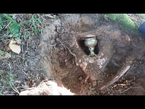 Tarihi Ağacın Altından Muhteşem Define Çıkardık