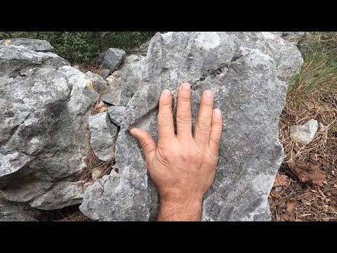 El İşaretini Çözdük Muhteşem Defineyi Bulduk
