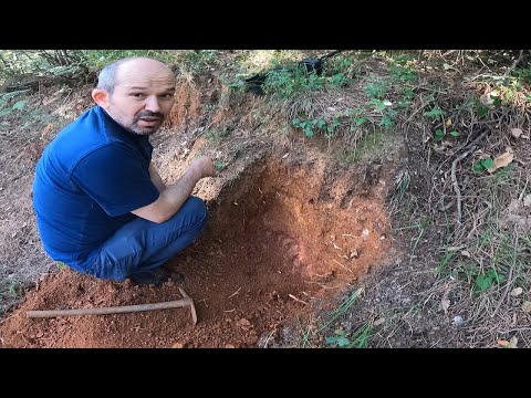 Ormanın Derinliklerinde Muhteşem Define Bulduk