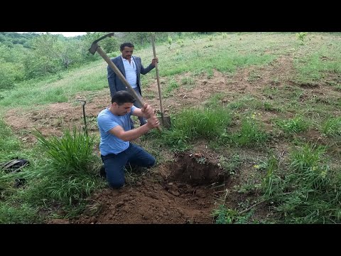 Tarlada Çıkan Akıl Almaz Güzel Define Bulduk