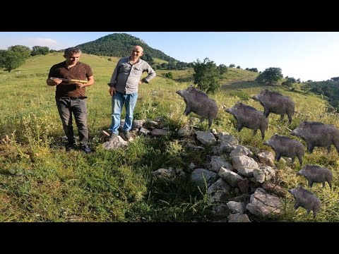 İnanılmaz Bir Define Çıktı Korsanlar Şaşkına Döndü