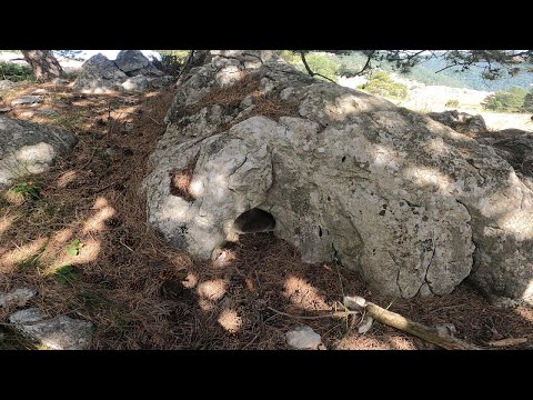 Taşların Arasında Saklı Hazineyi Kimse Tahmin Edemezdi