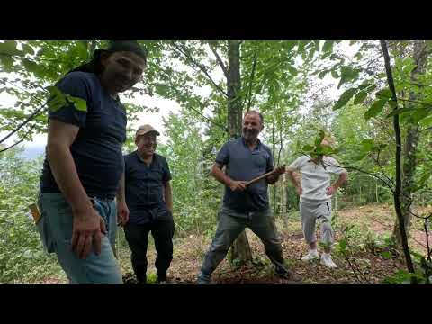 Defineyi Bulan Korsanlar Şaşkına Döndü