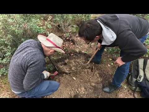 Ormanda Muhteşem Defineyi Bulmayı Başardık