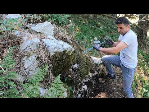 Tonlarca Kayanın İçinden İnanılmaz Define Çıktı