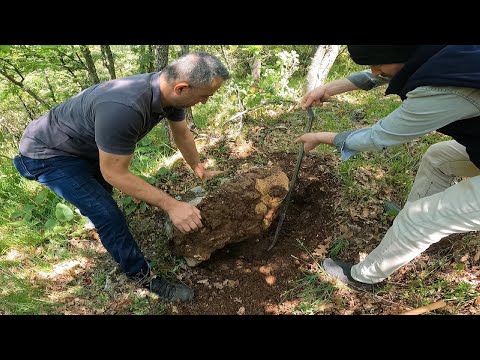 Ormanda Gezerken İnanılmaz Değerli Define Bulduk