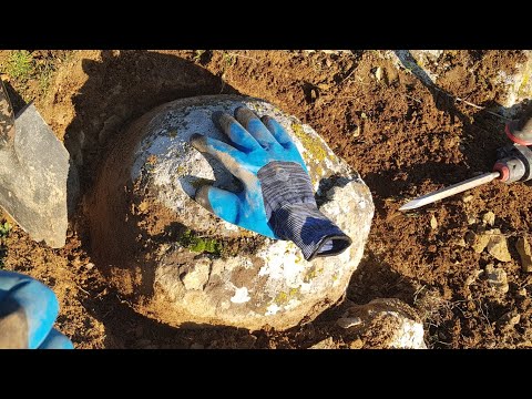 Bombalara Devam Define Kasaları Bum Bum Bum