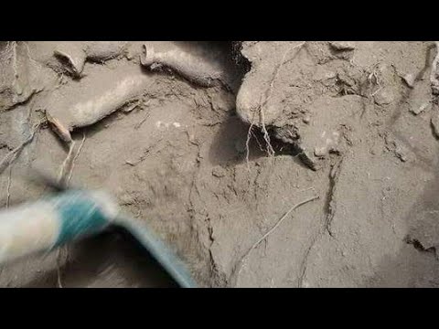Define Aramaya Su Kenarında Başlanır