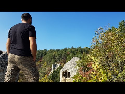 Ormandaki Define Bankalarına Girdim