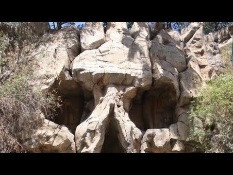 Tılsımlı Defineyi Yılanmı Yoksa Kamplumbağamı Korur Macera Manzaralı Video