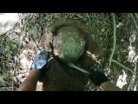 Define Kasasını Dere Kenerında Buldum