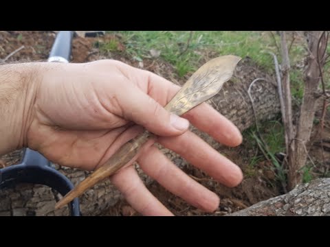 Ağacın Altındaki Defineyi Dedektörle Buldum