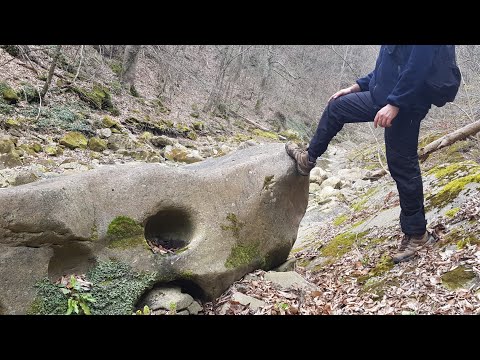 Deredeki Define Kamplumbağasını Buldum