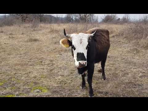 Define Yolunda Bunları Buldum