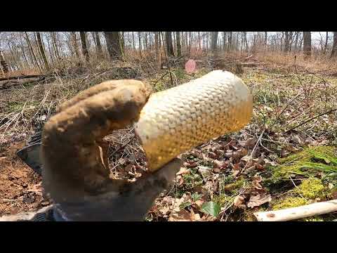 Yarım Kalan Define Kasasını Açtım !!! Öyle Bir Altın Parça Çıktı #220 / I FOUND TREASURE ! TREASURE