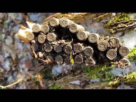 Define Ararken Silah Mühimmatları Buldum! Treasure Hunt