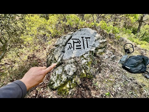 Tarihi Zeytin Ağaçlarının Yanında Hazine Bulundu