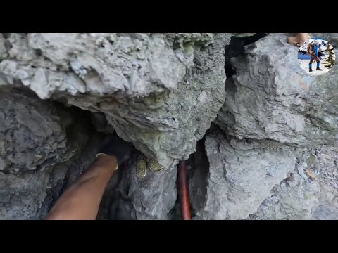 Dere Kenarında Kaya Kasasından Çıkan Altınlar...  Define Bulma Anı, Treasure Find Moment #1