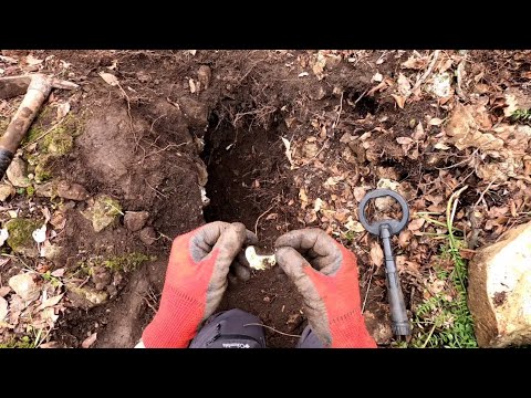 Çok Değerli Bir Define, Altın Balık ve Yaprak, Define Bulma Anı, Treasure Find Moment #14