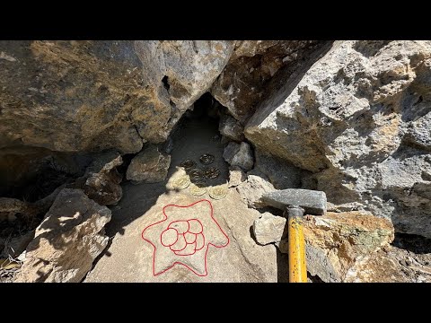 Kabartma Kaplumbağa Define İşaretinin Hazinesi Bulundu...