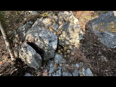 Ormanda Define Bulma Macerası...