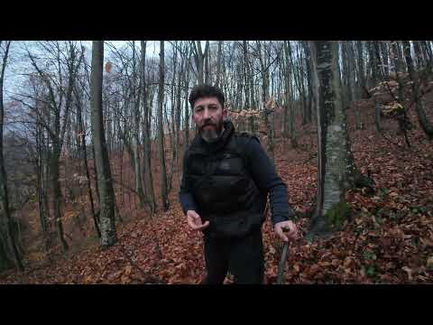 Özel Üyelere Define Tespiti Yapıp, Hediye Ediyorum